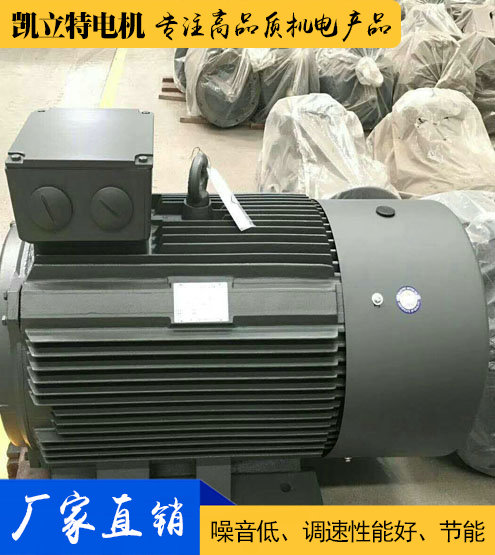 YE2/Y2/Y普通三相異步電動機