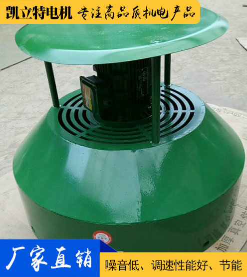 進(jìn)口電機(jī)用通風(fēng)機(jī)定制